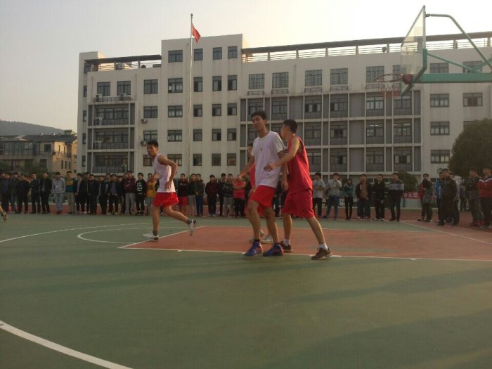 1490096418291011195.jpg 37.jpg